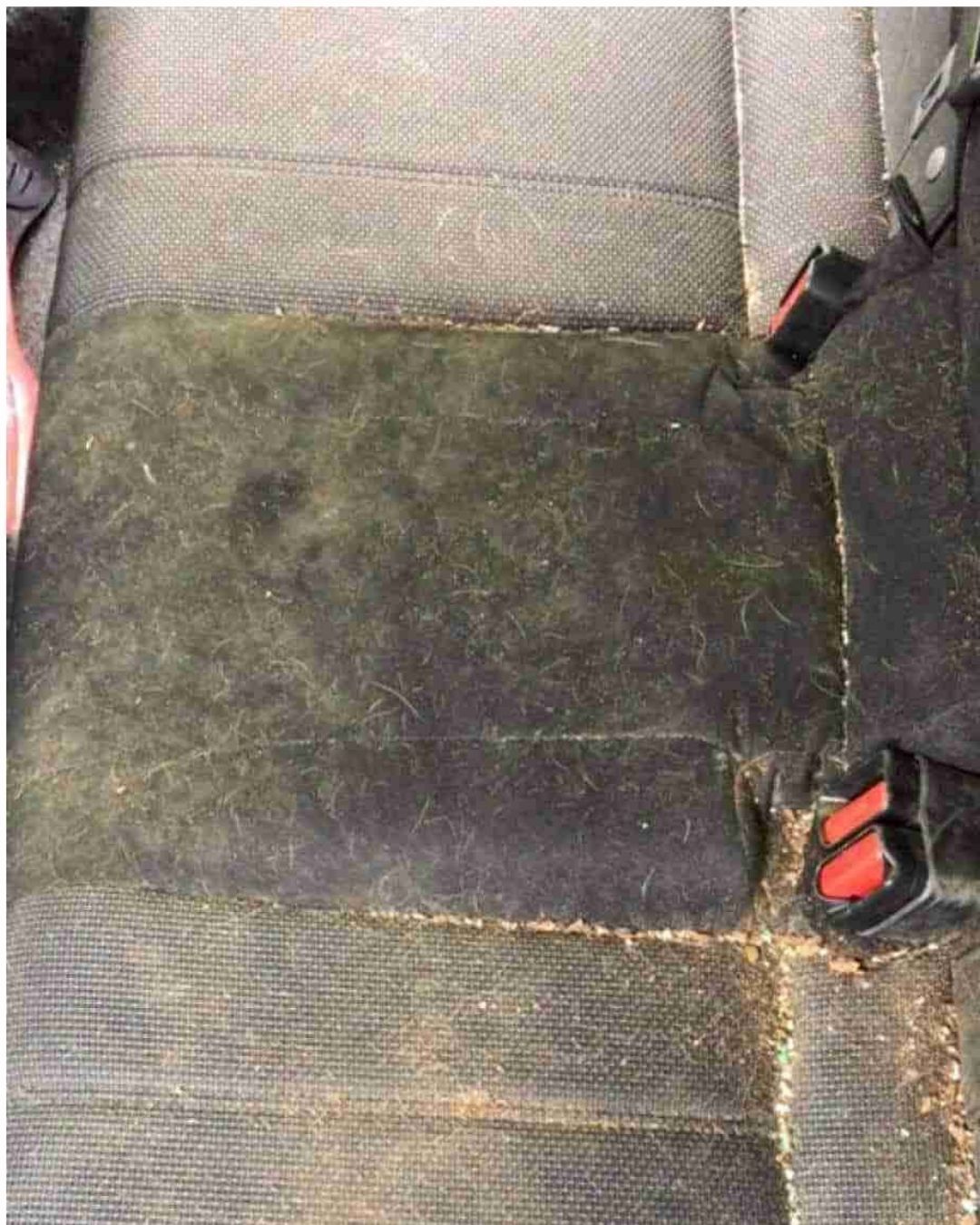 Toyota Corolla interior after stained seat restoration