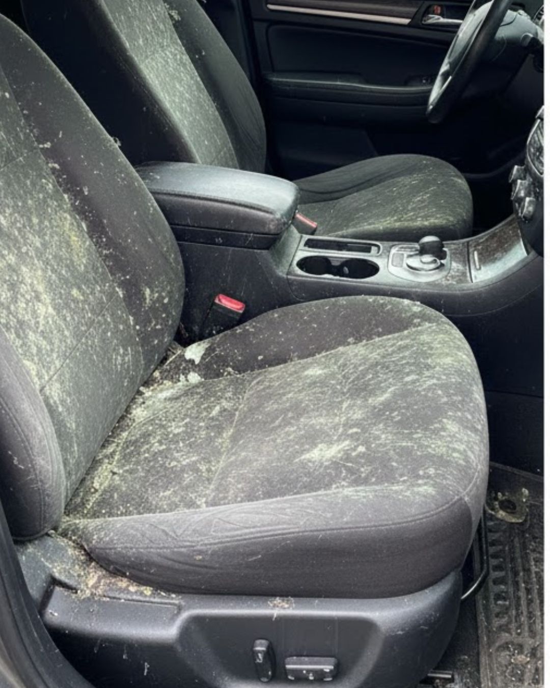 Chevrolet Malibu 2022 interior before mold removal — active mold colony covering seats and carpet